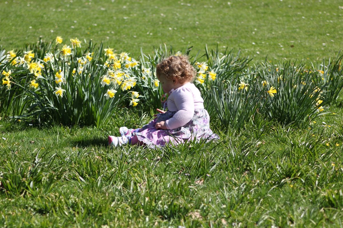 Gabriella 1 year gets to experience flowers in the park close up.