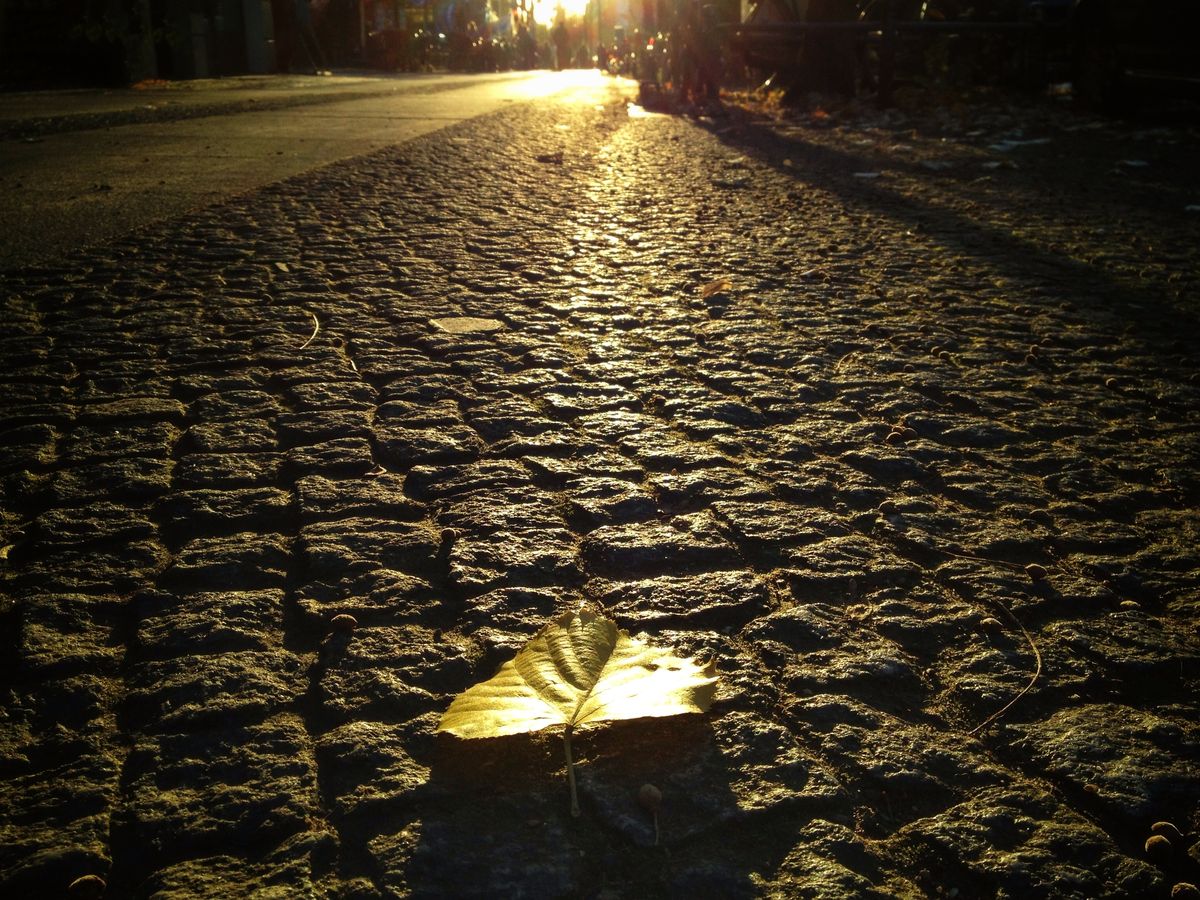 Berlin Schöneberg - pedestrial autumn sun 