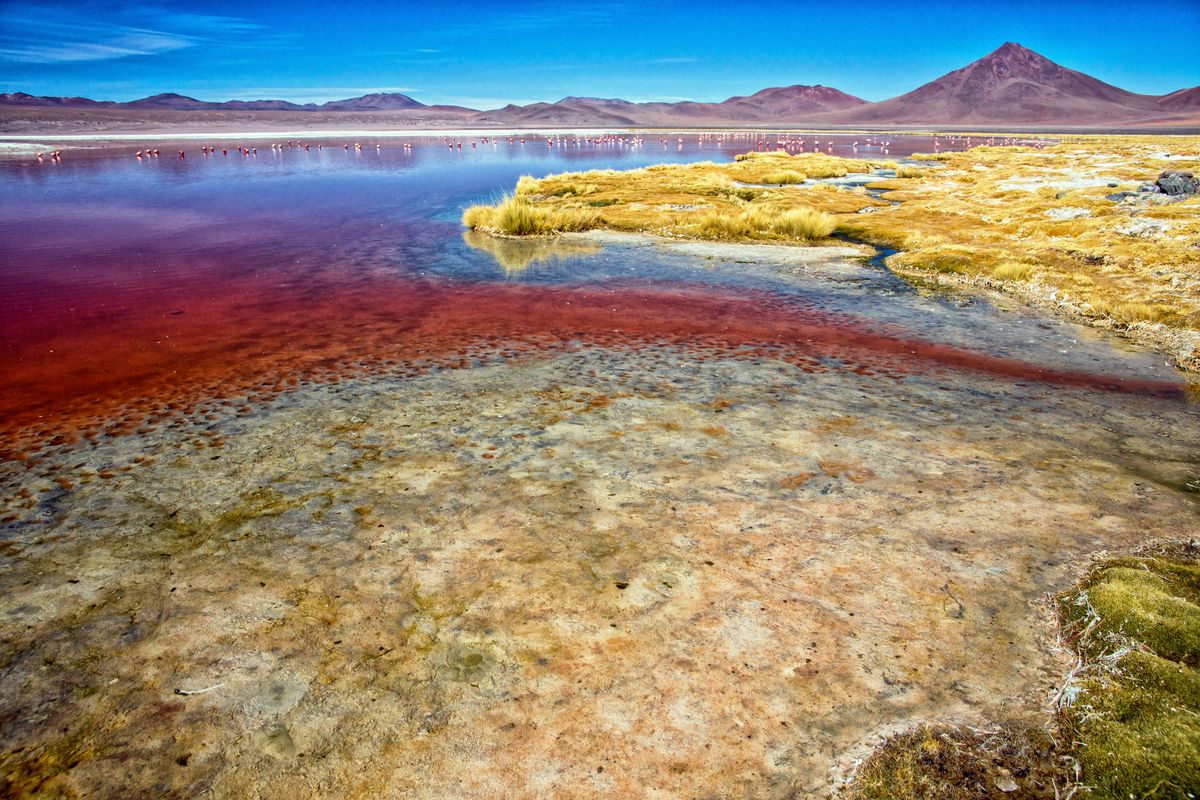 RICH IN RED PLANKTON, THE LAKE PROVIDES FOOD FOR FLAMINGOS