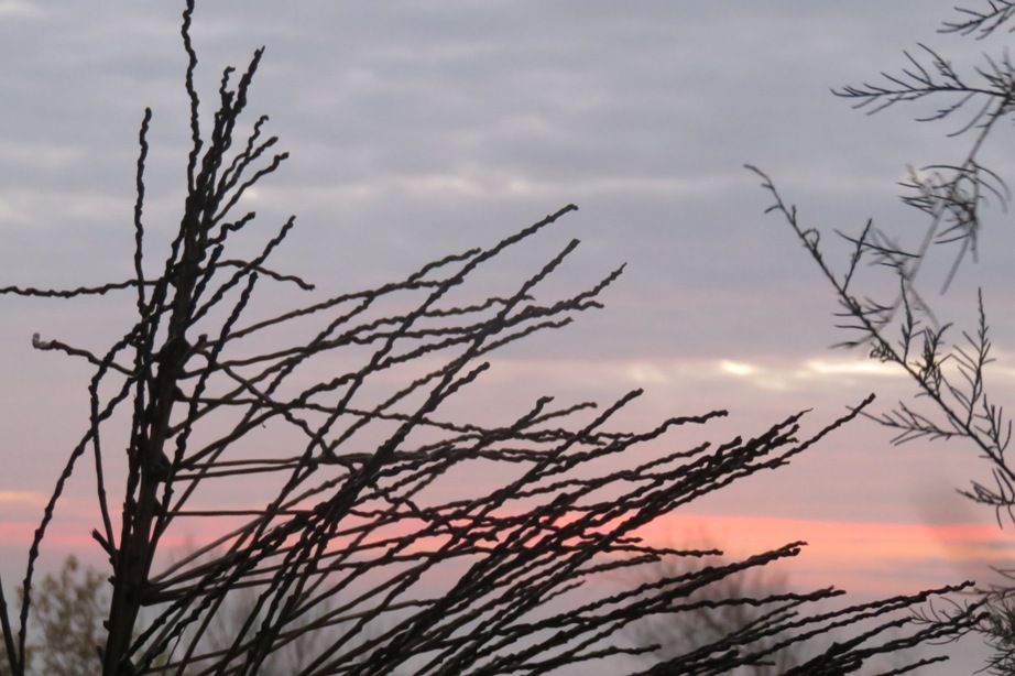 Portugal - Autumn sunset from home