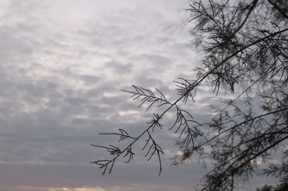 Portugal - Autumn sunset from home