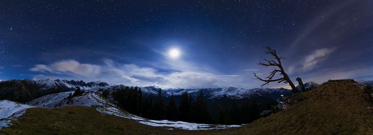 Mondlichtpanorama beim einsamen Baum in Tirol