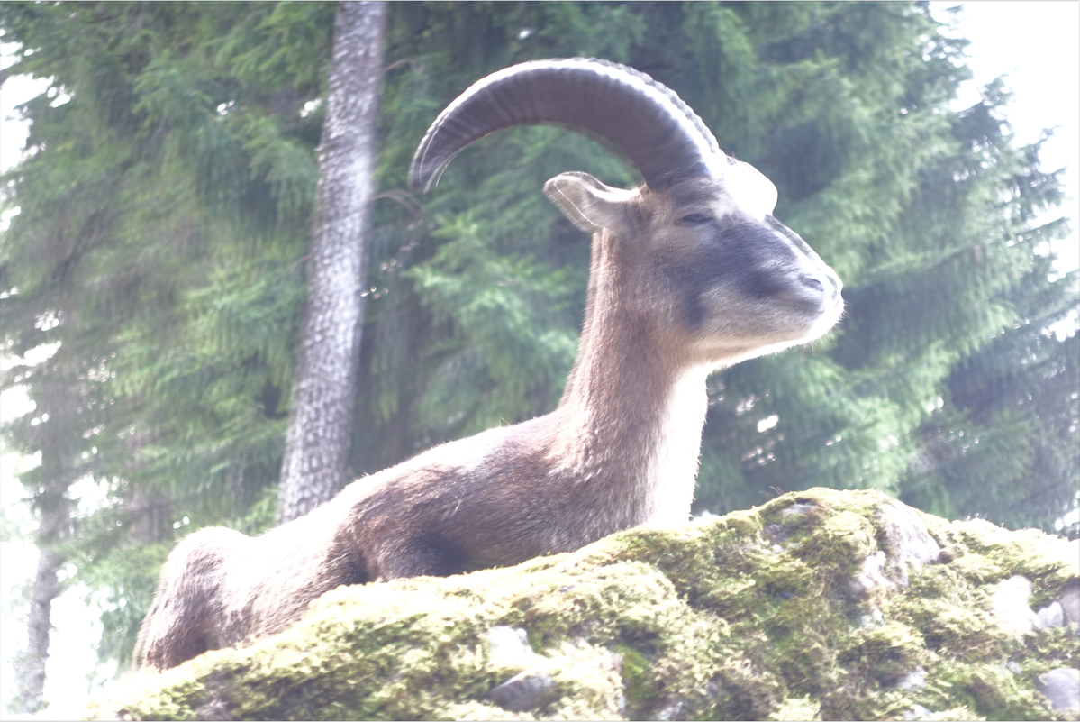 Bildschirmfoto 2018-07-04 um 20.40.26.png